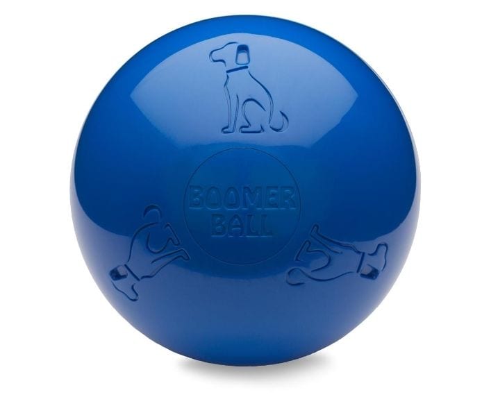 Company Of Animals Boomer Ball