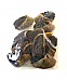 Kangaroo Filled Cow Hooves - 10 Pack